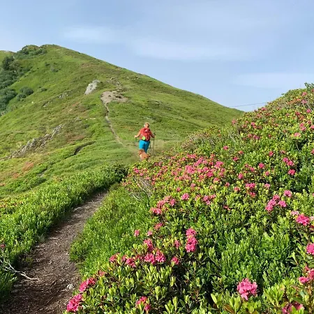 Bergtraum * 그뢰브밍